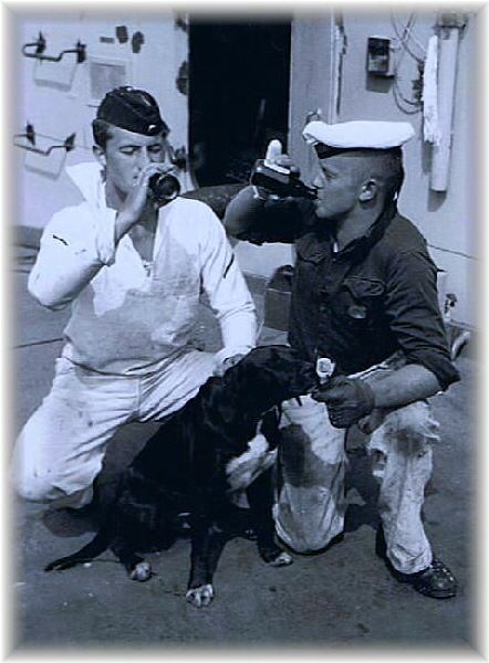 Bordhund Schrat vom LCU1 im Jahre 1964