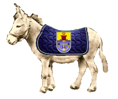 mus_fridolin_decke_wappen mus_fridolin_decke_wappen